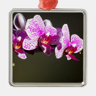 Elegante roze bloemen tropische roze orchideeën metalen ornament