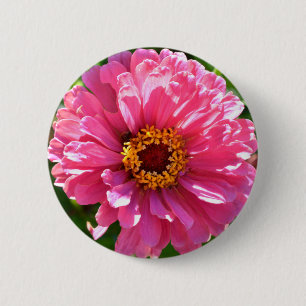 Elegante roze bloemenretro roze madeliefje ronde button 5,7 cm