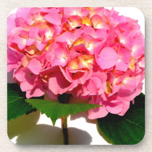 Elegante roze bloemenroze hortensia drankjes onderzetter (Voorkant)