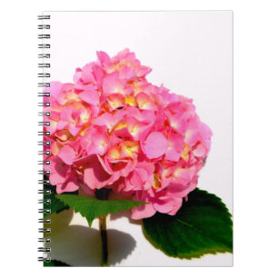 Elegante roze bloemenroze hortensia notitieboek