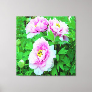 Elegante Roze Boom Pioen Bloemen met Gele Midden Canvas Afdruk