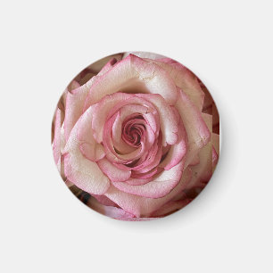 Elegante Roze Getipte Witte Roos Ronde Magneet