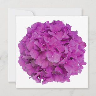 Elegante roze magenta floral hortensia rozen kaart