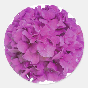 Elegante roze magenta floral hortensia rozen ronde sticker