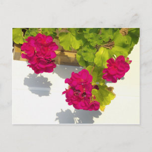 Elegante roze magenta rode bloemen briefkaart