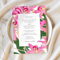 Elegante Roze Orchidee Bloeit Tropische Bloemen Hu