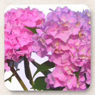 Elegante roze paarse bloemenhortensia's onderzetter