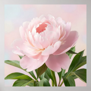 Elegante Roze Pioen Realistische Bloem Poster