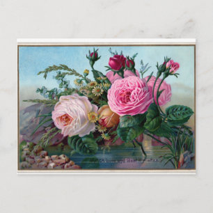 Elegante Roze Rozen Ansichtkaart Briefkaart