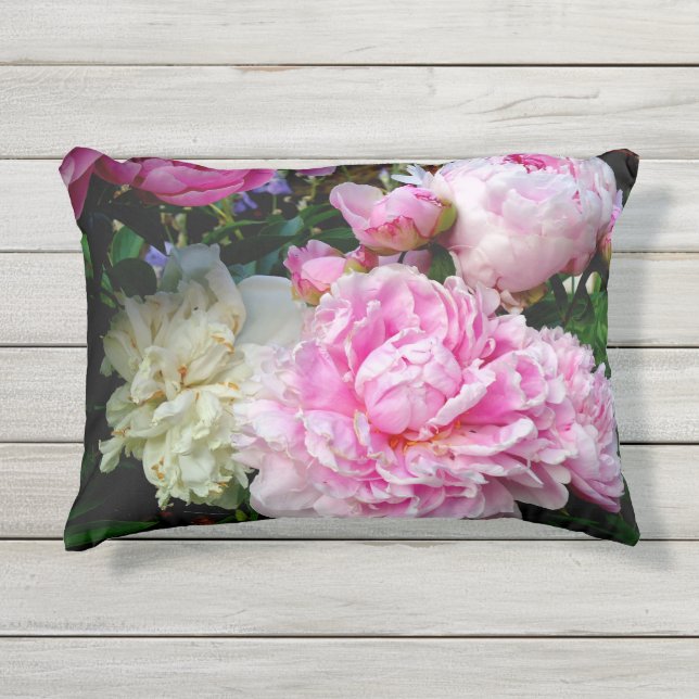 Elegante roze witte pioen bloementuin foto buitenkussen (Voorkant)