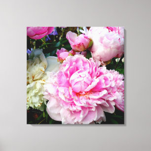 Elegante roze witte pioen bloementuin foto canvas afdruk