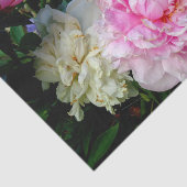 Elegante roze witte pioen bloementuin foto tissuepapier (Detail)