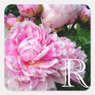 Elegante roze witte pioen bloementuin foto vierkante sticker
