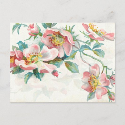 Elegante Rozen Budget Huwelijksuitnodiging Uitnodiging Briefkaart (Achterkant)