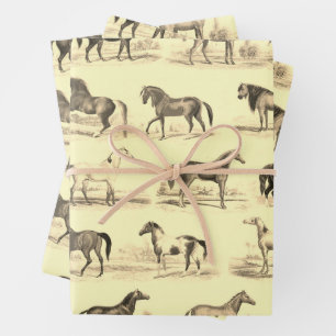 Elegante  rustieke beige paardenrassen Toile Inpakpapier Vel