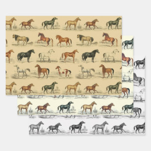 Elegante  rustieke beige paardenrassen Toile Inpakpapier Vel