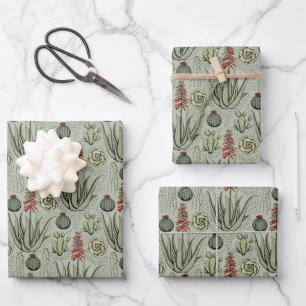 Elegante Salie, Oranje & Wit Bloemmotief Bloemen Inpakpapier Vel