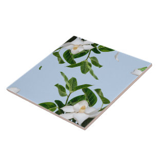Elegante sierlijke keramiek tegel met magnoliabloe tegeltje