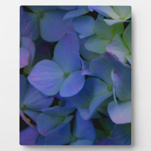 Elegante stoffige blauw paarse bloemen fotoplaat