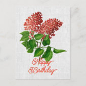Elegante Syringa Vulgaris Bloemenverjaardag Briefkaart (Voorkant)