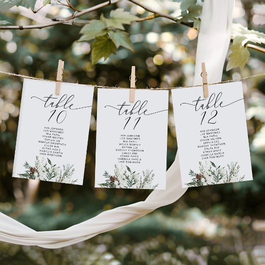 Elégante table de mariage d'hiver Sièges Cartes de