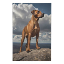 Elégante toile Rhodesian Ridgeback - Haut de monta