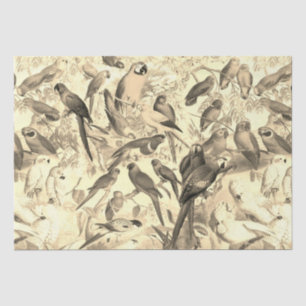 Elegante  Tropische Vogelpapegaaien Beige Tissuepapier
