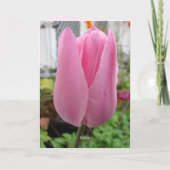 Elégante Tulipe rose Tulipe Fleur Carte d'Annivers (Dos)