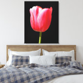 Elegante Tulp Bloei Canvas Afdruk (Insitu (Slaapkamer))