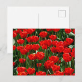 Elegante Tulp en Roos Bloemen Fotografie Feestdagenkaart (Voorkant / Achterkant)