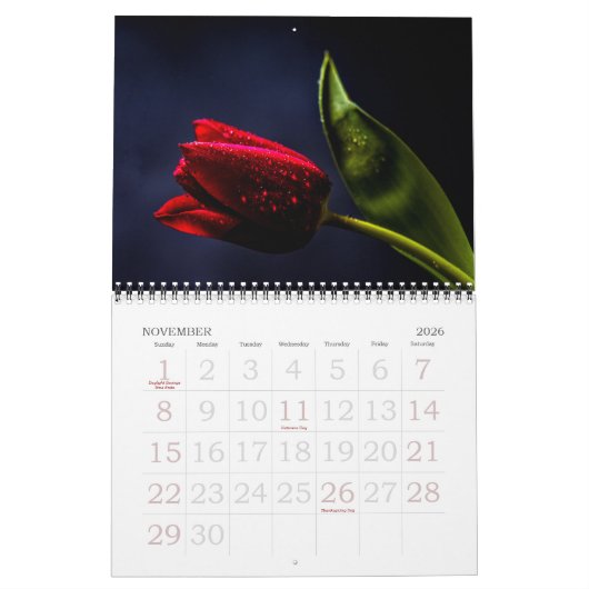 Elegante Tulp en Roos Bloemen Fotografie Kalender (Nov 2026)