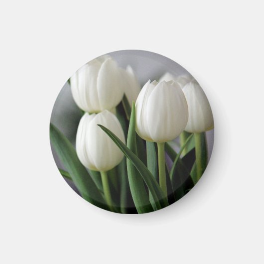 Elegante Tulp en Roos Bloemen Fotografie Magneet (Voorkant)