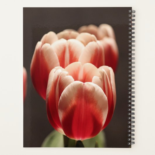 Elegante Tulp en Roos Bloemen Fotografie Planner (Achterkant)