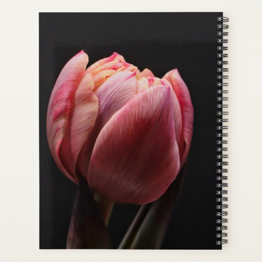 Elegante Tulp en Roos Bloemen Fotografie Planner (Achterkant)
