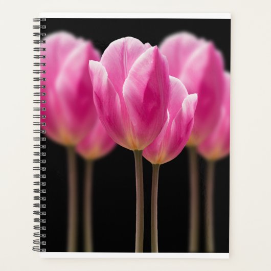 Elegante Tulp en Roos Bloemen Fotografie Planner (Voorkant)