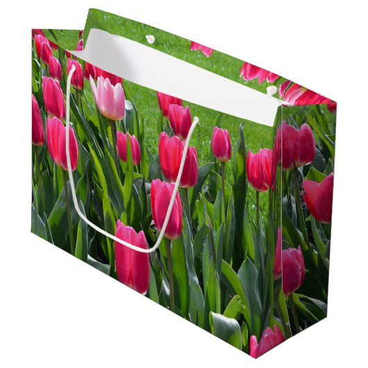 , elegante verse bloemen van de roze lentroze tulp large cadeautasje (Voorkant Gekanteld)