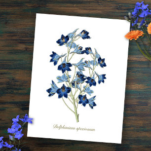 Elegante Vintage Botanische Blauwe Bloemen Delphin Briefkaart