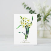 Elegante Vintage Botanische Bloemen Witte Narcisse Briefkaart (Staand voorkant)