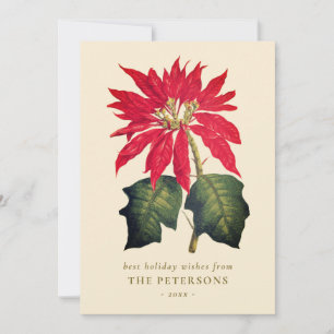 Elegante Vintage Botanische Poinsettia Bloem Feestdagenkaart