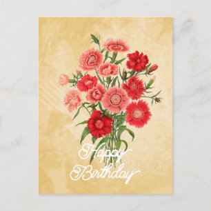 Elegante Vintage Dianthus Chinensis Bloem Verjaard Briefkaart