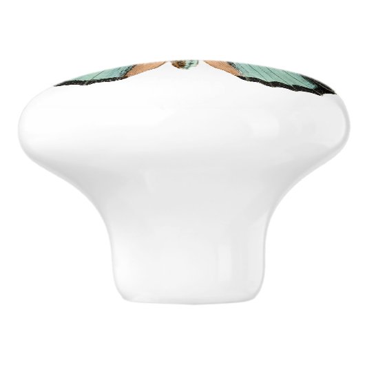 Elegante Vlinder Blauwgroen Witte Keramische Knob Keramische Knop (Zijkant)