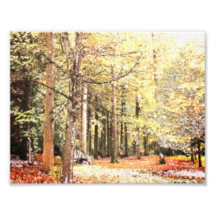Elegante waterverf bosbomen in het najaar foto afdruk