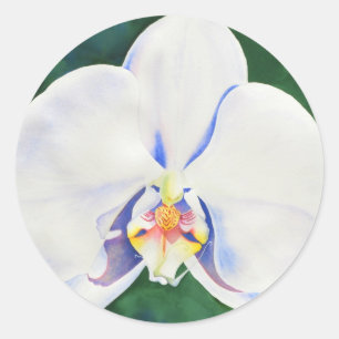 Elegante waterverf witte orchidee ronde sticker