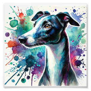 Elegante Whippet Waterverf kunst Foto Afdruk