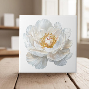 Elegante witte bloeiende pioen Frans land Tegeltje
