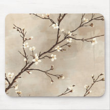 Elegante Witte Bloesem Minimale Tak