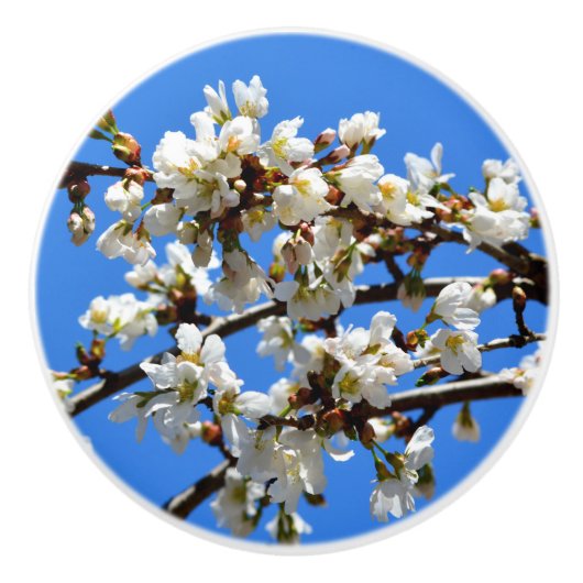 Elegante witte bloesems keramische knop (Voorkant)