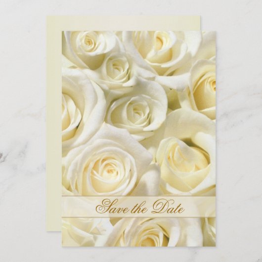 Elegante witte-crème rozen Save the Date uitnodigi (Voorkant / Achterkant)