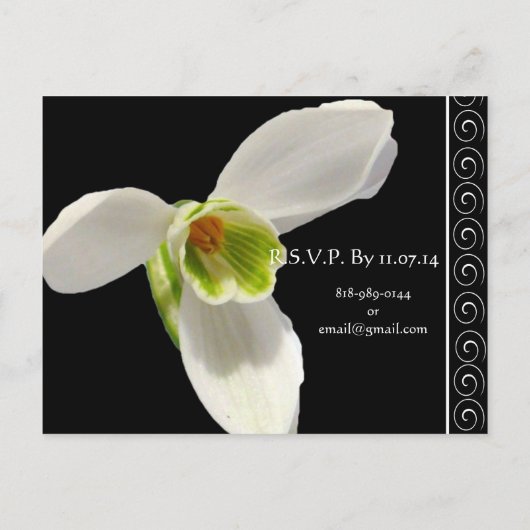 Elegante witte en Limoen bruiloft uitnodiging