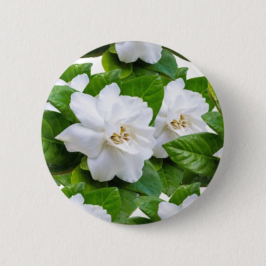 : "Elegante witte Gardenia Flowers Button (Voorkant)